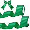 Polyester Ribbon OCOR-WH0070-278A-1