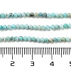 Natural HuBei Turquoise Beads Strands G-G792-38-01-4