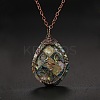 Double Sided Natural Paua Shell Copper Wire Wrapped Tree of Life Teardrop Pendant Necklaces FS-WG9357B-01-3