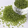 12/0 Glass Seed Beads X1-SEED-A005-2mm-24-1