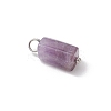 7Pcs 7 Styles Natural Rhodonite & Canadian Jade & Aquamarine & Amethyst & Apatite & Lapis Lazuli & Labradorite Pendants PALLOY-JF04180-4