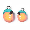 Handmade Polymer Clay Charms CLAY-S096-019-2