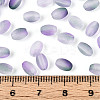 Frosted Glass Seed Beads SEED-N008-05I-4