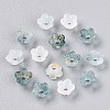 Frosted Transparent Acrylic Beads X-OACR-N137-72L-2
