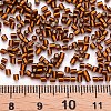 Glass Bugle Beads SEED-S032-08A-53-4
