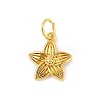 Brass Charms KK-Z107-05G-02-1