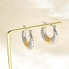 304 Stainless Steel Two Tone Hoop Earrings EJEW-F355-03GP-02-3
