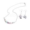 Natural Fluorite Chips Beaded Jewelry Set SJEW-JS01231-02-1