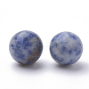 Natural Blue Spot Jasper Beads G-S289-15-10mm-2