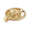 Brass Micro Pave Colorful Cubic Zirconia Pendants ZIRC-E165-05G-3