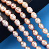 Natural Cultured Freshwater Pearl Beads Strands PEAR-N012-05S-6