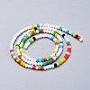 Faceted Glass Beads Strands GLAA-F106-B-F10-2
