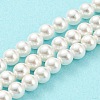 Electroplated Natural Shell Beads Strands SHEL-F008-03A-01-2