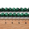 Natural Malachite Beads Strands G-A271-A01-6mm-5