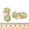 304 Stainless Steel Resin Pendants STAS-V015-59G-02-3