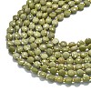 Natural Alashan Agate Beads Strands G-K389-B68-01-3