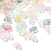 Gradient Color Transparent Frosted Acrylic Beads X1-OACR-M023-06A-1