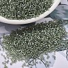 MIYUKI Delica Beads X-SEED-J020-DB2378-1
