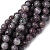 Natural Lepidolite Beads Strands G-G284-A02-8mm-2