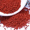 MIYUKI Delica Beads SEED-MY11-DB0795-1