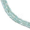 Natural Amazonite Bead Strands G-P279-42-2mm-01-3