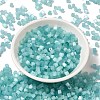 Glass Seed Beads SEED-H002-D-A812-2