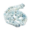 Natural Aquamarine Chip Beads Strands G-L154-19-4