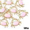 10Pcs Eco-Friendly Zinc Alloy Pendants FIND-YW0006-37B-1