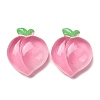 Fruit Theme Opaque Resin Imitation Food Cabochons RE-CBA49A8-03C-1