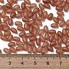 Transparent Colours Glass Round Beads SEED-F006-03A-01-4