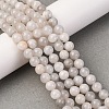 Natural White Crazy Lace Agate Bead Strands G-D840-55-6mm-5