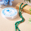 DIY Natural Regalite/Imperial Jasper/Sea Sediment Jasper Beads Bracelets  Making KIts DIY-TA0002-69C-6