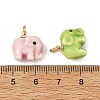 Handmade Porcelain Charms PALLOY-JF05920-3