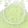 Transparent Colours Glass Seed Beads SEED-P008-01B-03-3