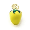 Brass with Enamel Charms KK-Q066-01A-G-1