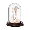 Glass Dome Cover ODIS-WH0079-021B-6