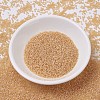 MIYUKI Delica Beads Small LS-X-SEED-J020-DBS0852-2