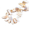 Natural Trochid Shell/Trochus Shell Beads Strands SHEL-S258-082-A01-4