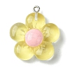 Translucent Resin Pendants RESI-P039-01P-2