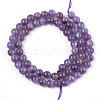 Natural Amethyst Beads Strands G-S333-6mm-020-3