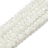 Natural Trochus Shell Rondelle Beads Strands SSHEL-H072-01B-1