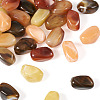 30pcs 5 colors Opaque Acrylic Beads CRES-TA0001-36-2