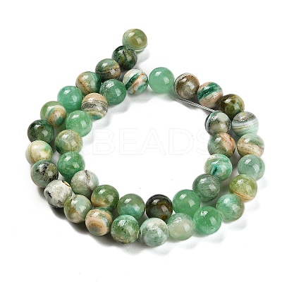 Natural Green Line Jasper Beads Strands G-B128-A03-04-1
