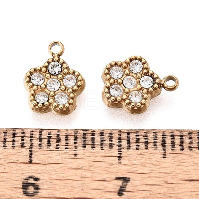 304 Stainless Steel Micro Pave Cubic Zirconia Charms STAS-N115-48G-1