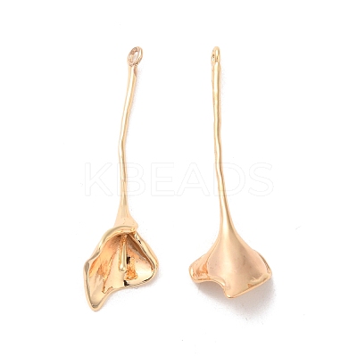 Brass Pendants KK-G468-02G-1