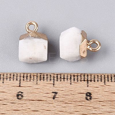 Natural White Moonstone Pendants G-N359-18G-15-1