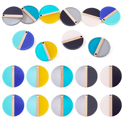 10Pcs 5 Colors Transparent & Opaque Resin & Wood Pendants RESI-TA0004-67-1