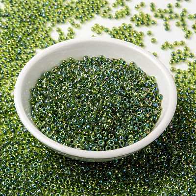 MIYUKI Round Rocailles Beads X-SEED-G008-RR0341-1