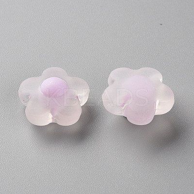 Transparent Acrylic Beads TACR-S152-09C-09-1
