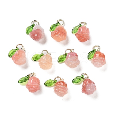 Natural Agate Pendants G-Z052-02B-1